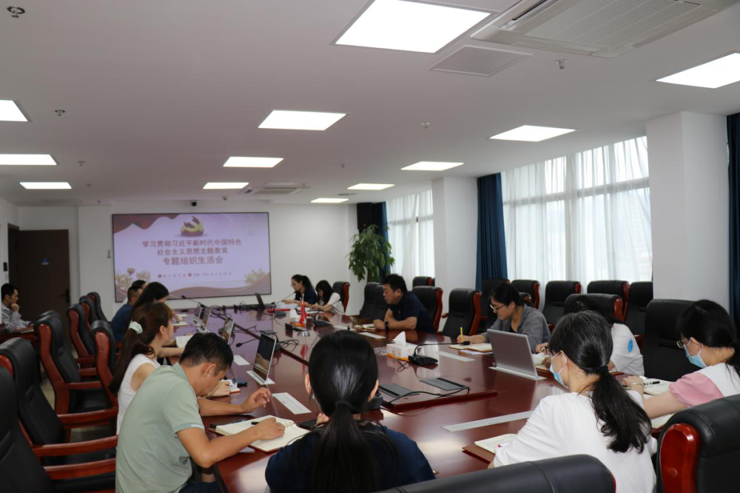 主题教育丨石化设计院各党支部召开主题教育专题组织生活会(图4) 主题教育丨石化设计院各党支部召开主题教育专题组织生活会(图4)